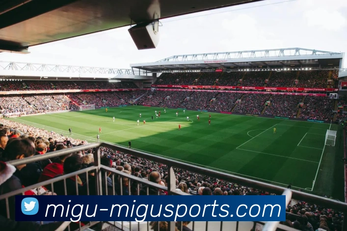 足球直播平台生态图